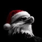 Канал СОКОЛ