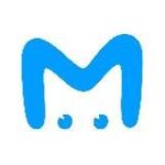 Канал Mash на Мойке