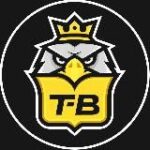 Канал Т-Воронеж | Типичный | Новости Воронежа