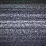 Канал Новости правда