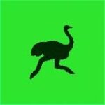 Канал Деливери