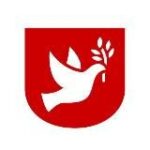 Канал Зеркало | Новости