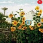 Канал Огород и дача — большая удача!